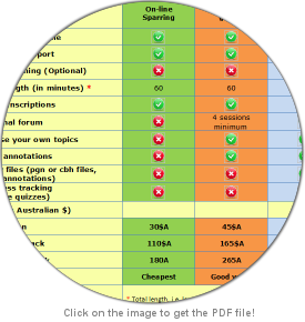 Chess coaching pic 3